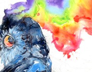 Watercolors featured
